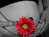 img_3775-bwc